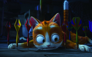 Cat arrows big eyed furry - big eye free wallpaper