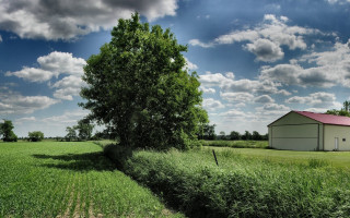 Barn tree farmhouse field sky - a red roof free wallpaper