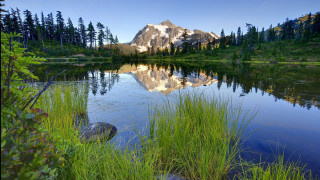 Mountain lake reflection trees grass 2 - a rock in the foreground free wallpaper
