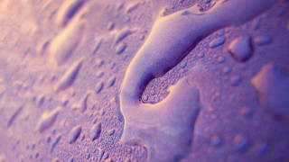 Purple water droplets holography macro - blue background free wallpaper
