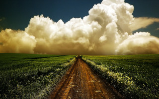 Dirt road green field cloudy 16 - a green field under a cloudy sky free wallpaper
