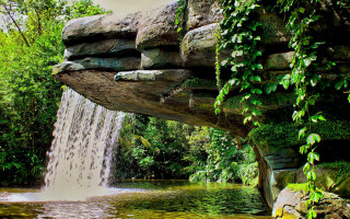 Waterfall pond greenery rocks ledge - a pond free wallpaper for desktop
