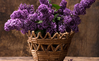 Wicker basket purple flowers east - art and crafts movement free wallpaper