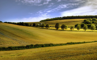 Beautiful landscape hill trees field - a hill in the background free wallpaper