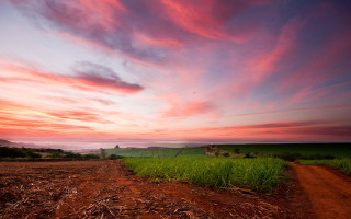 Dirt road field sunset clouds - free sky wallpaper