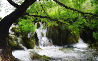 Waterfall forest rocks people nature - a waterfall in a forest free wallpaper