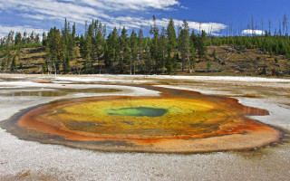 Colorful substance field trees sky - free seasons wallpaper
