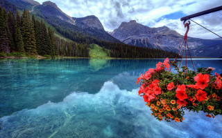 Lake mountains flower city night - the side of it free wallpaper