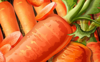 Carrots green beans tabletop folk - arcimboldo free wallpaper for desktop