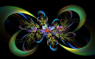 Colorful fractal flower blue butterfly - a colorful flower free wallpaper