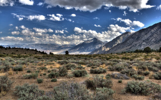 Mountain range clouds bushes panorama - ambrose mccarthy patterson free wallpaper