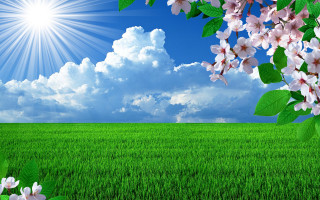 Flower field blue sky clouds 5 - hd wallpaper free wallpaper