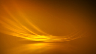 Yellow blurry bird sky abstract - the air free wallpaper