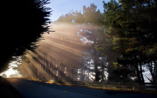 Autumn forest crepuscular rays sunset - crepuscular free wallpaper for desktop