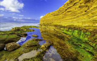 Rocky shore mossy rocks cloudy - mossy free wallpaper