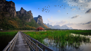 Wooden bridge red building birds - a red building free wallpaper for desktop
