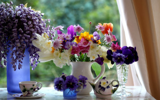 Flower vase cup saucer window - free flowers wallpaper