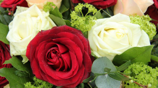 Roses bouquet puzzle flower leaves - green leaf and buds free wallpaper