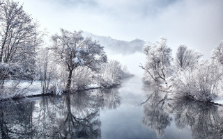 River fog mountain trees snow - a few cloud free wallpaper for desktop