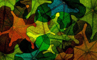 Colorful leaves green background black - free abstract wallpaper