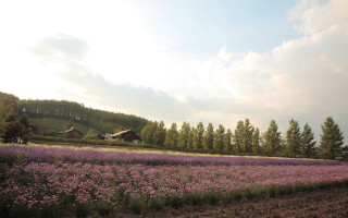 Flower field house sky clouds 2 - byeon sangbyeok free wallpaper for desktop