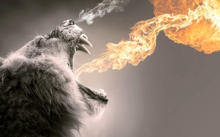 Lion roaring fire godzilla flaming - its mouth open free wallpaper for desktop