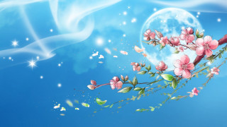 Branch cherry blossoms butterflies fullmoon - flower and butterflies free wallpaper for desktop