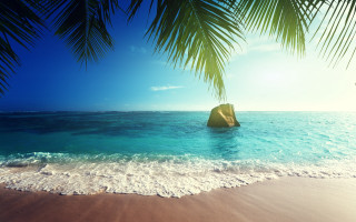 Beach rock palm tree sky - blue sky free wallpaper for desktop
