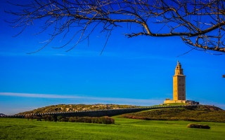 Clock tower hill tree fence - massurrealism free wallpaper