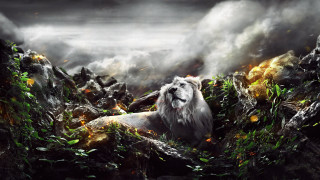Lion rocky smoke fire mountain - a rocky area free wallpaper