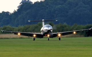 Jetliner lushfield forest backlit photorealism - a forest of trees and grass free wallpaper
