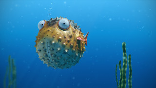 Pufferfish ocean algae aurora night - ultra realistic digital art free wallpaper for desktop