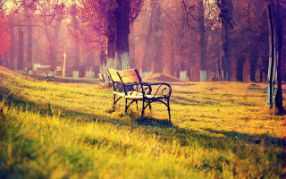 Park bench autumn sunset orange - autumn free wallpaper for desktop