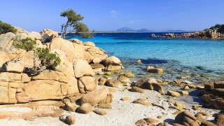 Rocky beach clear water tree - corneille free wallpaper