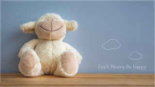 Stuffed animal table blue wall - verdadism free wallpaper