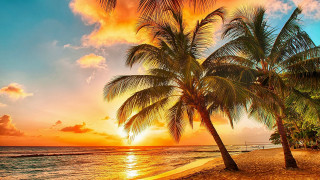 Palm beach sunset clouds boat - a sunset in the background free wallpaper for desktop