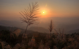 Sunset mountain foggy sky plant - a sunset over a mountain free wallpaper