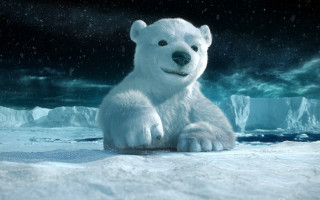 Polar bear snowy icebergs night - a snowy surface free wallpaper
