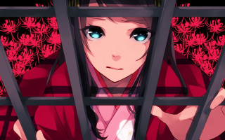 Girl blue eyes kimono flower - a red background behind her free wallpaper