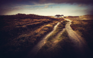 Dirt road horses grassy field - two horse free wallpaper