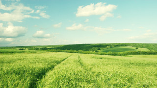 Green field cloudy sky trail - landscape free wallpaper