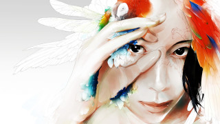 Woman bird angel wings feathers - her shoulder and a bird free wallpaper