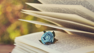 Blue rose book blurry background - top of a book free wallpaper