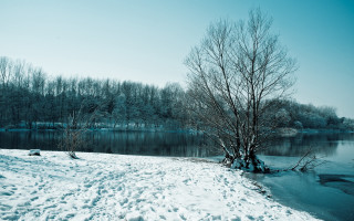 Snowy tree lake winter mountain - tonalism free wallpaper for desktop