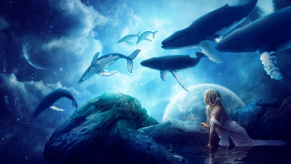 Dreamlike astronaut dolphins moonlight ocean - other animal free wallpaper