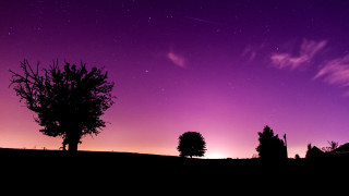 Purple sky tree shooting star - shooting free wallpaper