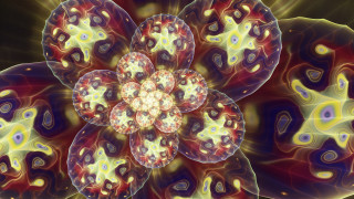 Flower fractals generative art gem - image of a flower free wallpaper for desktop
