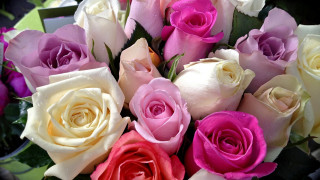 Romantic roses bouquet vase floral - ammi phillips free wallpaper