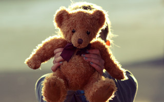Person holding teddy bear fur - canon 5 0 mm free wallpaper