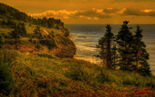 Beach cliff autumn sunset matte - scenic free wallpaper